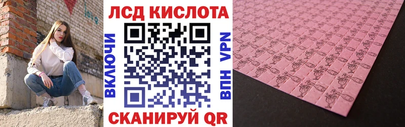 магазин    Свободный  кракен как зайти  Наркотические марки 1500мкг 