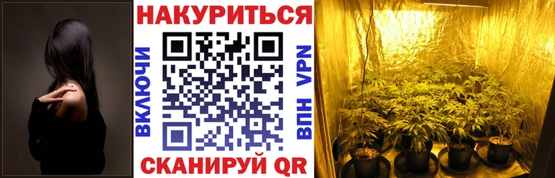 Марихуана SATIVA & INDICA Свободный